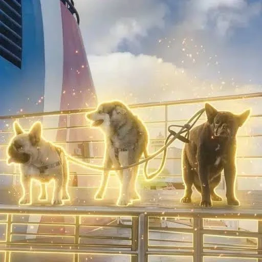 Starlink 3